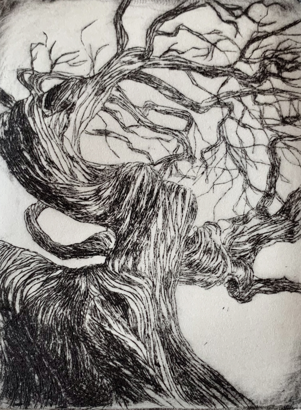 Printmaking 08